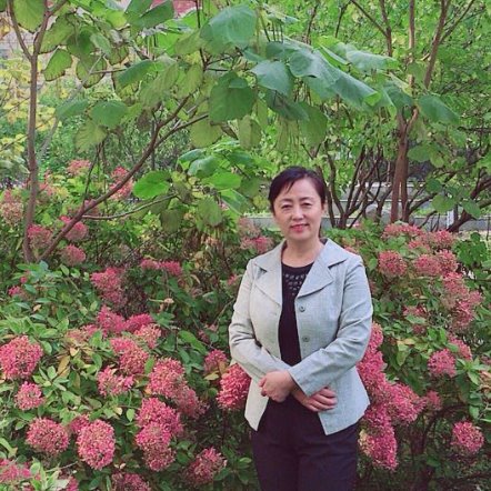 导师信息--王新